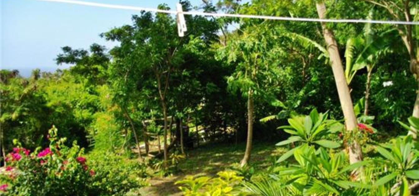 Boat Builder's House