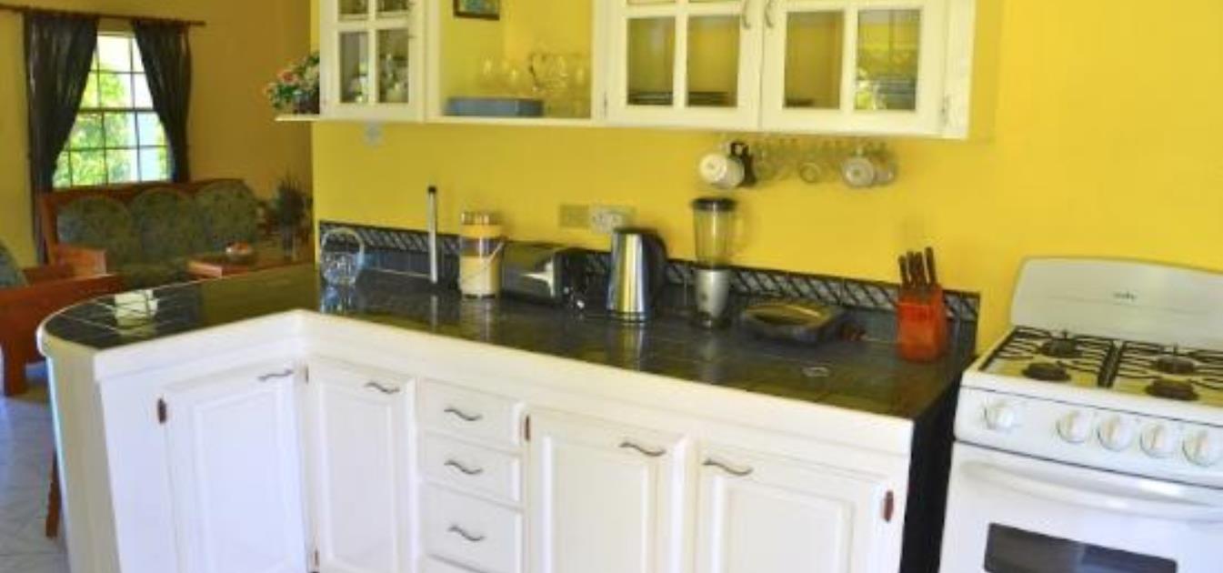 vacation-rentals/st-vincent-and-the-grenadines/bequia/hope-bay/atlantic-view-villa