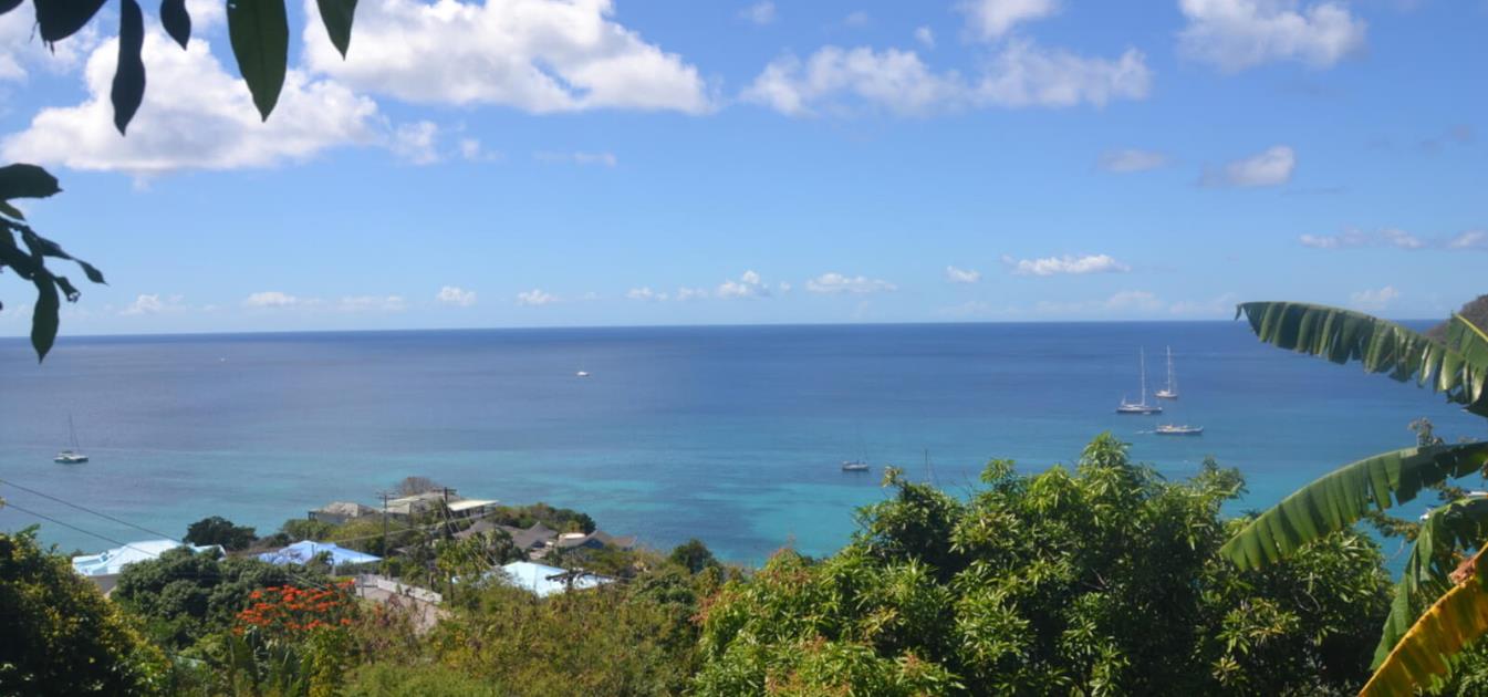 Lower Bay & Princess Margaret Ridge Land Plot 1