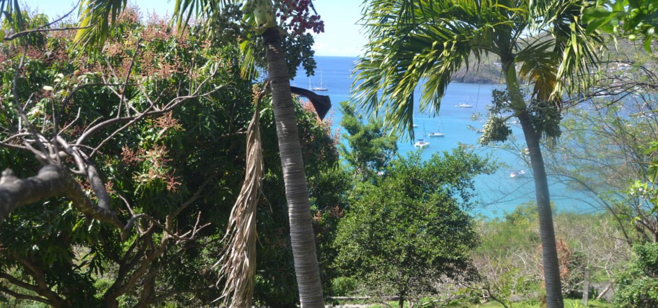 Lower Bay & Princess Margaret Ridge Land Plot 1