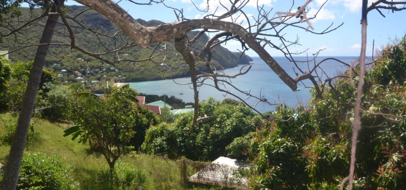 Lower Bay & Princess Margaret Ridge Land Plot 1