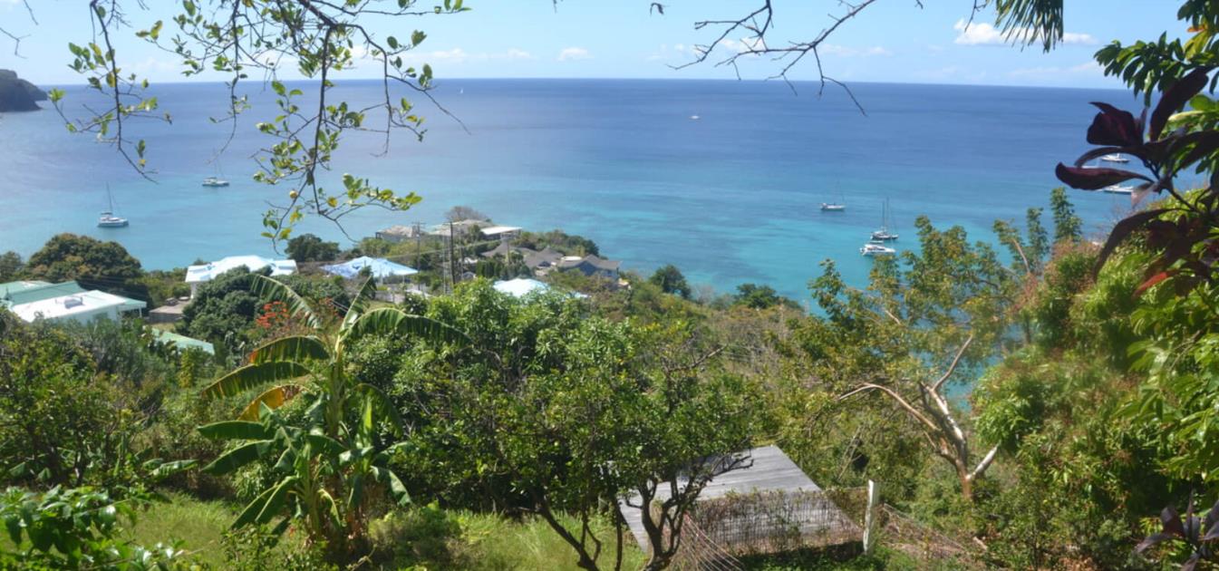 Lower Bay & Princess Margaret Ridge Land Plot 1