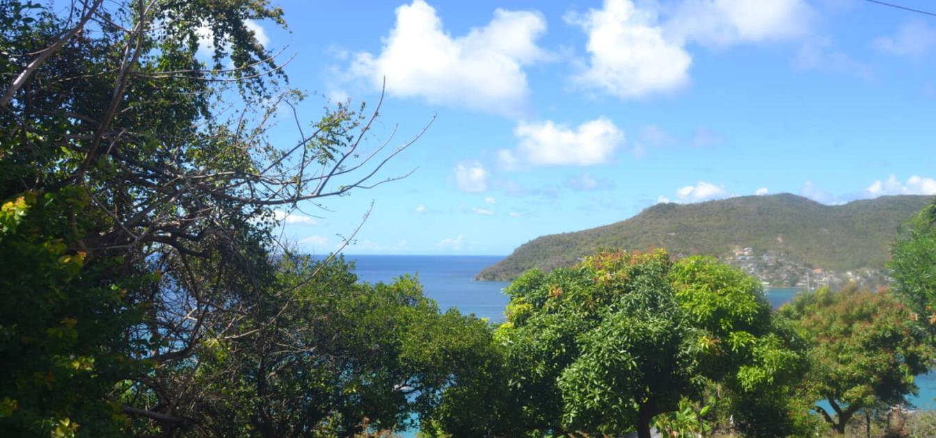 Lower Bay & Princess Margaret Ridge Land Plot 1