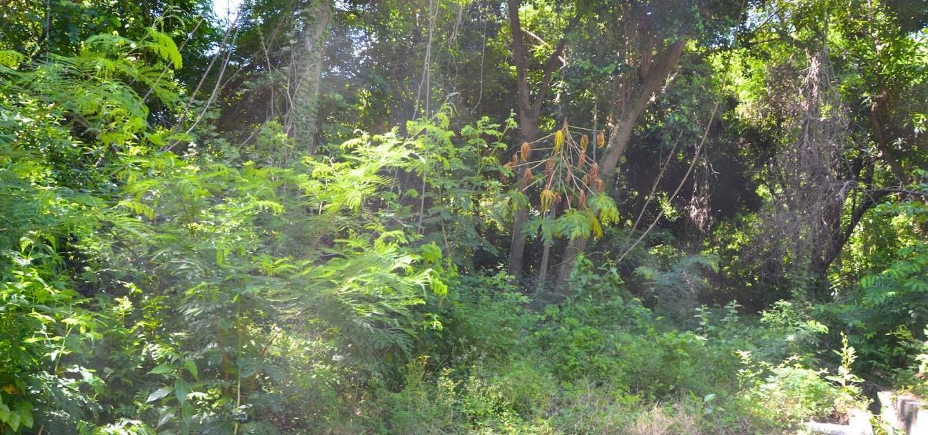 Crown Point Lot 9