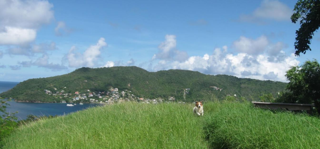 North Side of Lawler Hill Land