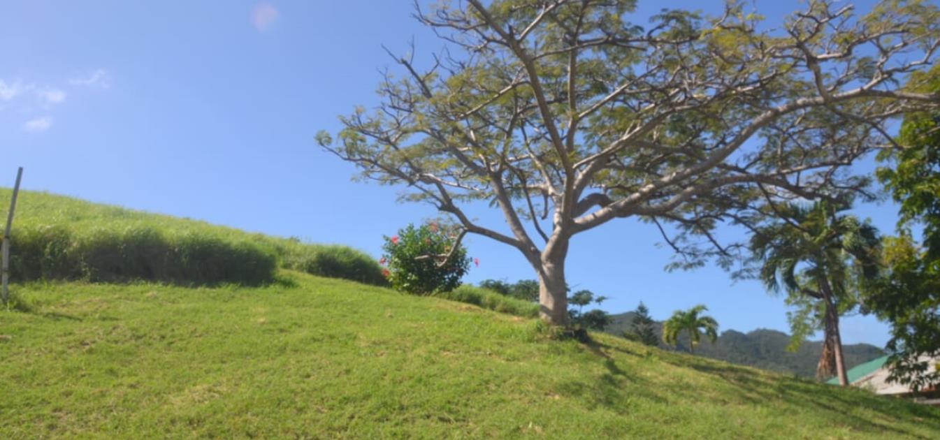 North Side of Lawler Hill Land