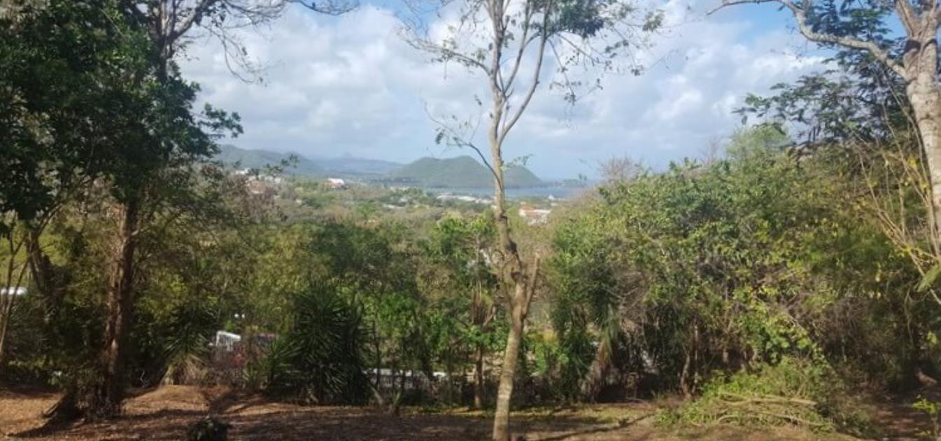 Golf Park Land Whole Plot