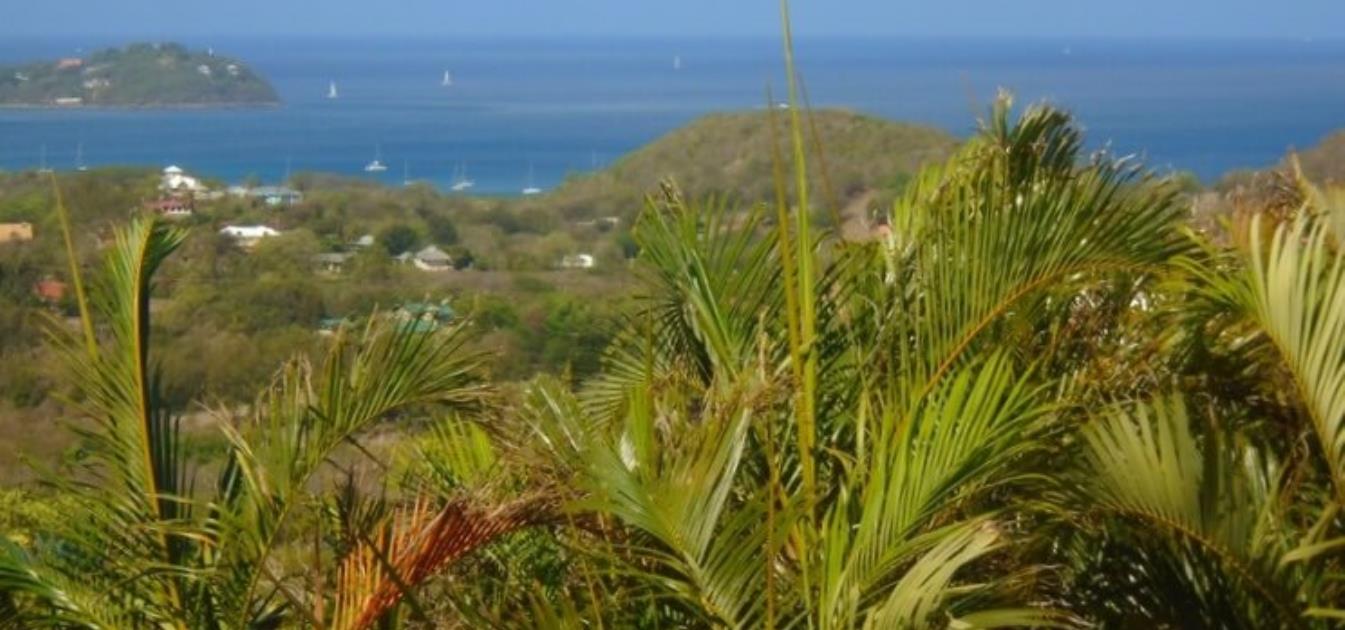 Golf Park Land Whole Plot