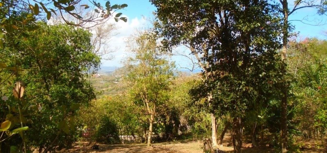 Golf Park Land Whole Plot