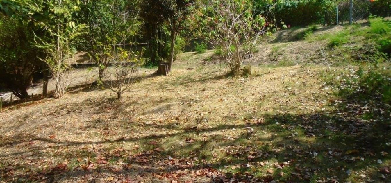 Golf Park Land Whole Plot