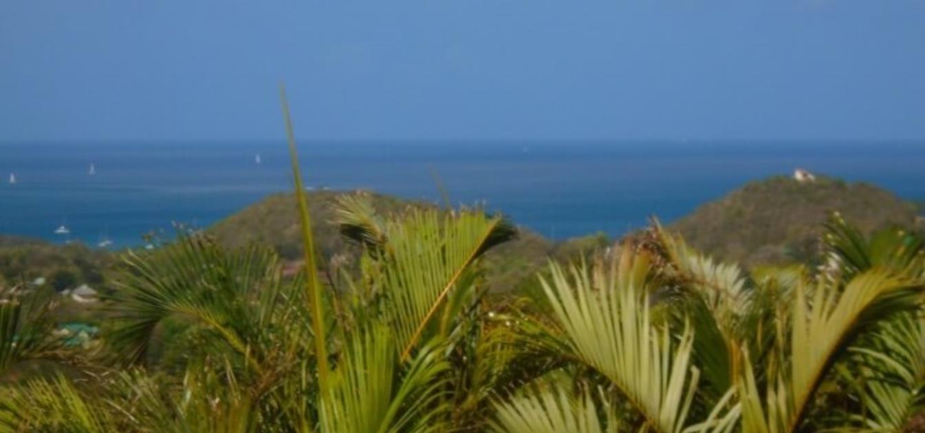 Golf Park Land Whole Plot