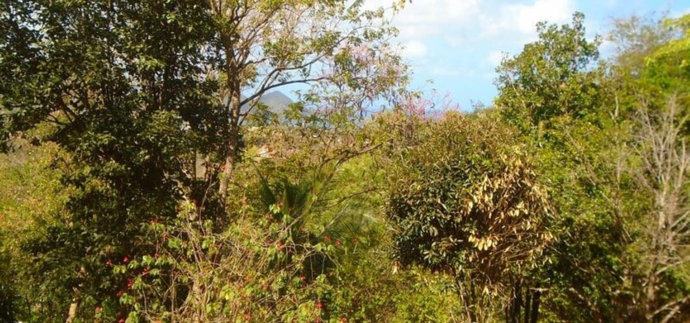 Golf Park Land Whole Plot