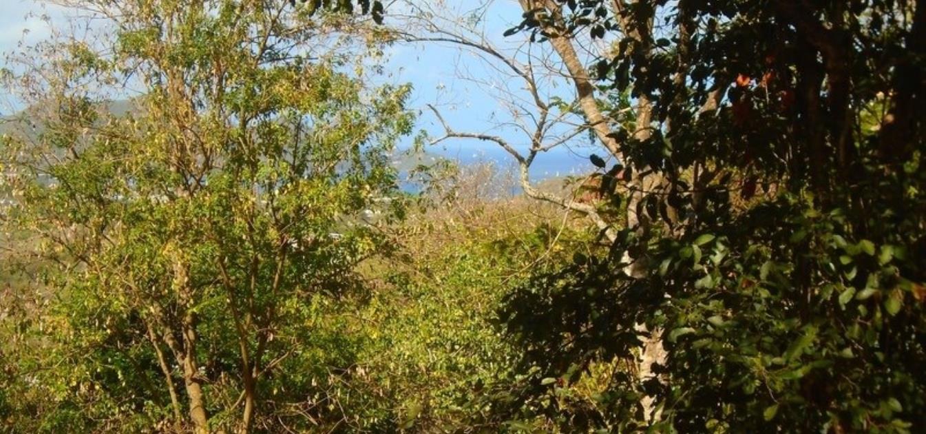 Golf Park Land Whole Plot