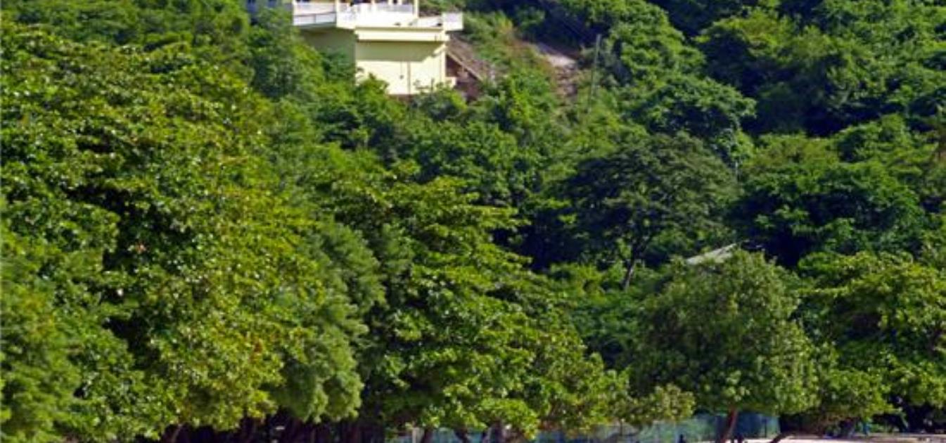 vacation-rentals/grenada/grenada-island/morne-rouge/belle-morne-rouge-beach-villa-