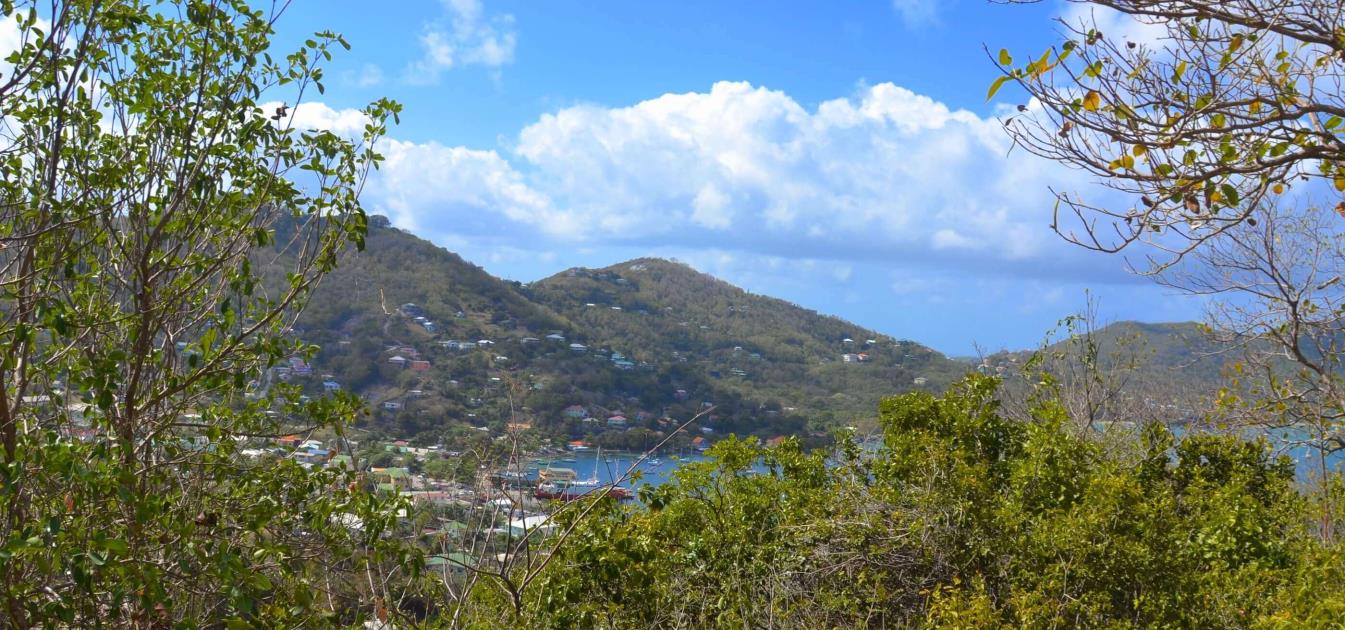 Ocar Land with Admiralty Bay Views