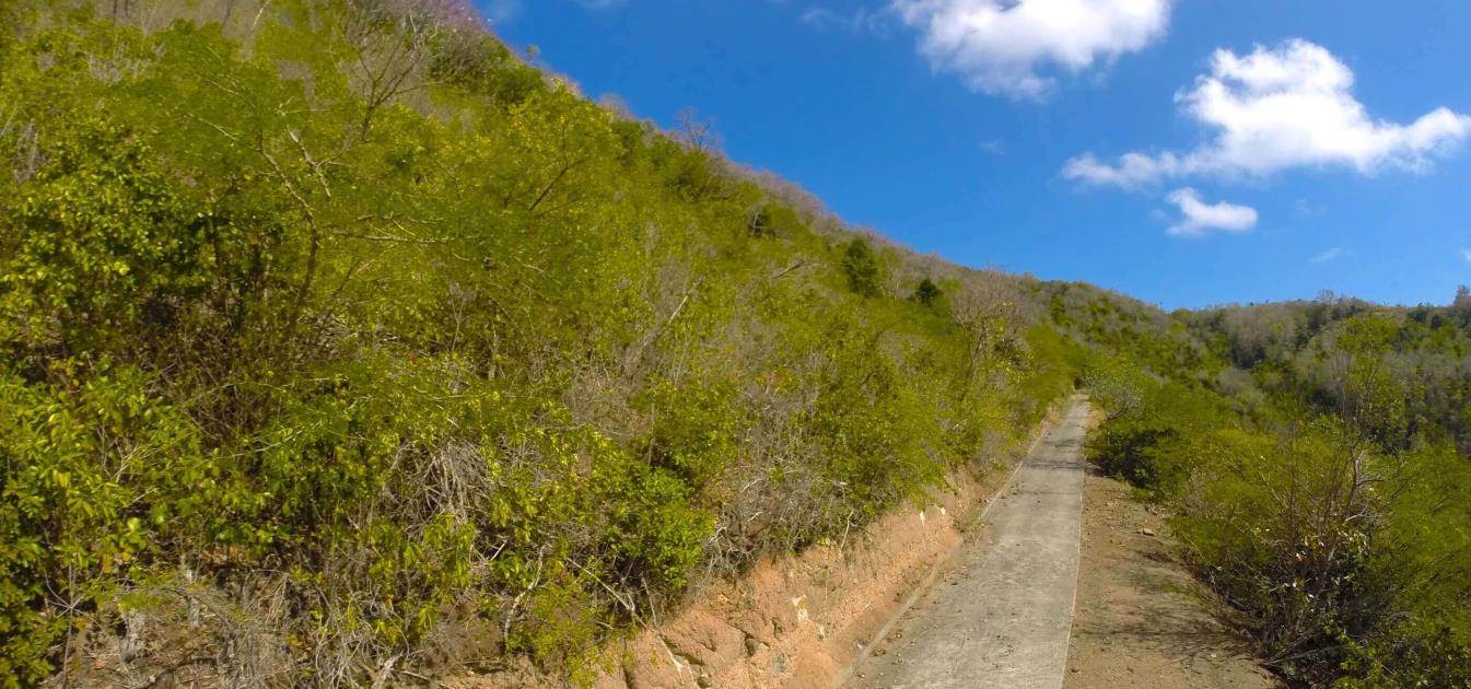 Ocar Land with Admiralty Bay Views