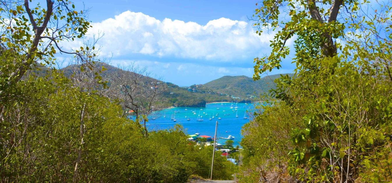 Ocar Land with Admiralty Bay Views