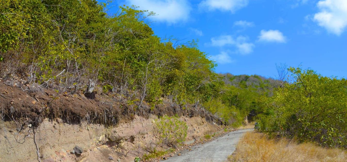 Ocar Land with Admiralty Bay Views