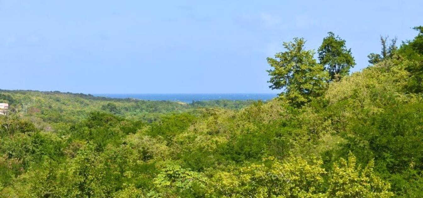 Cricketers View Villa