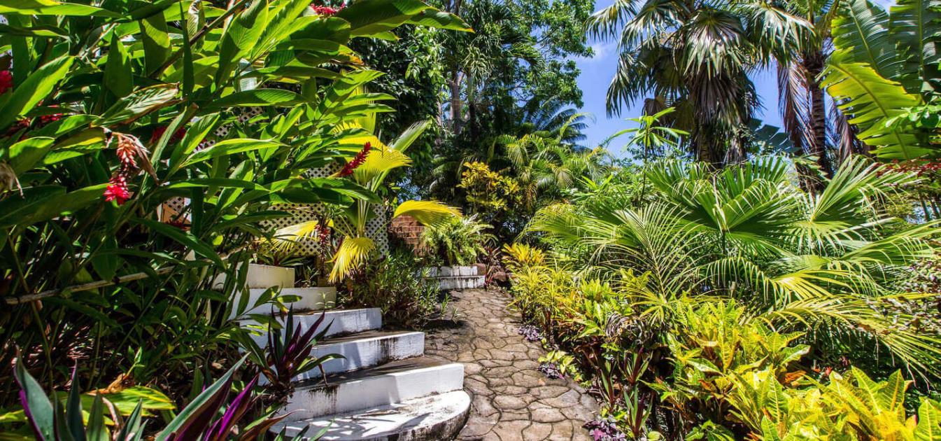 Natures Paradise