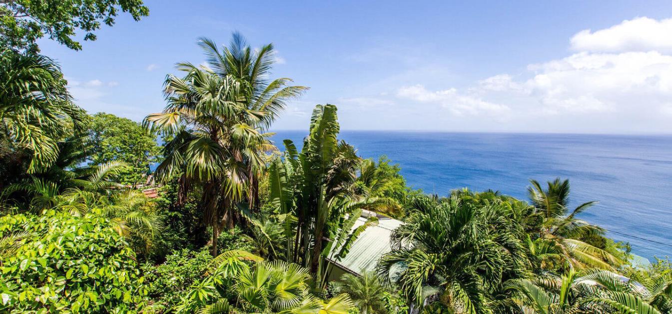 Natures Paradise