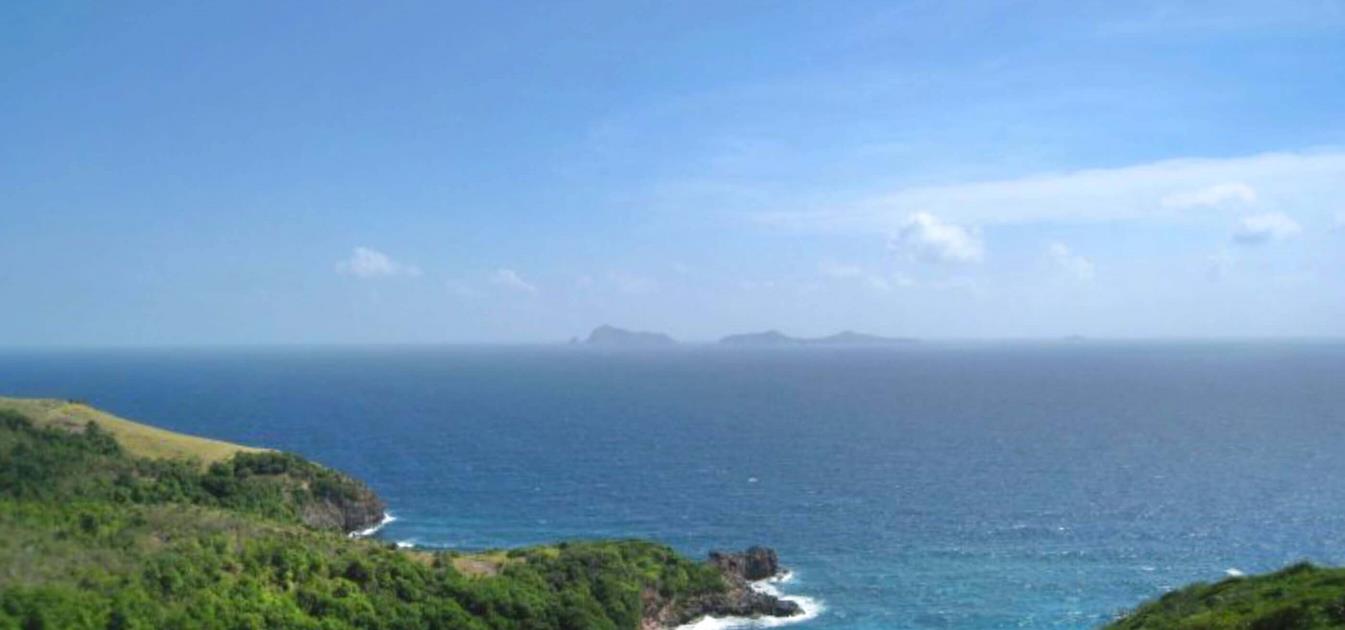 Friendship Heights Lot 8