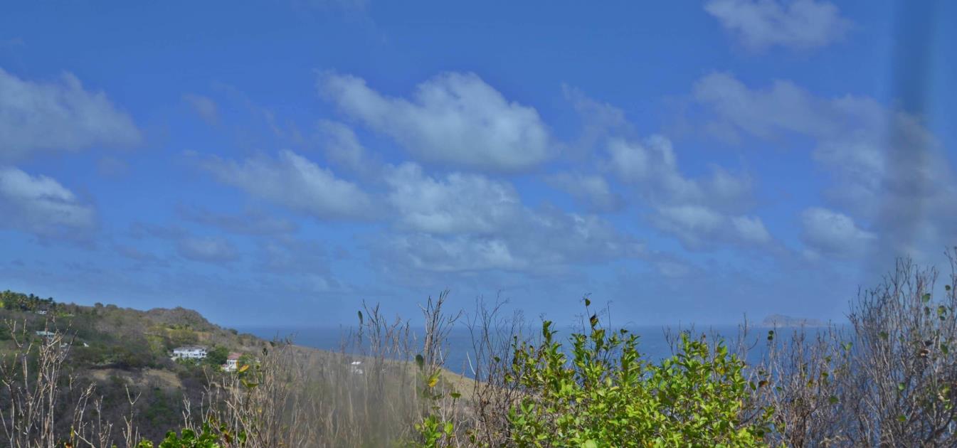 Friendship Heights Lot 8