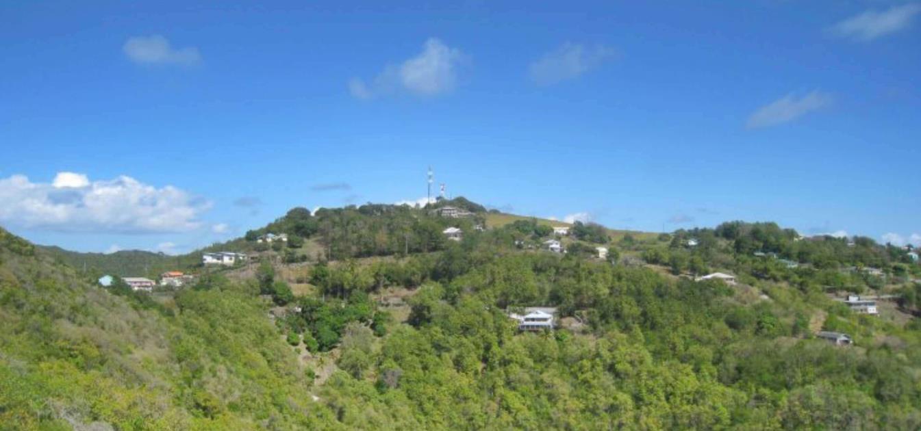 Friendship Heights Lot 8