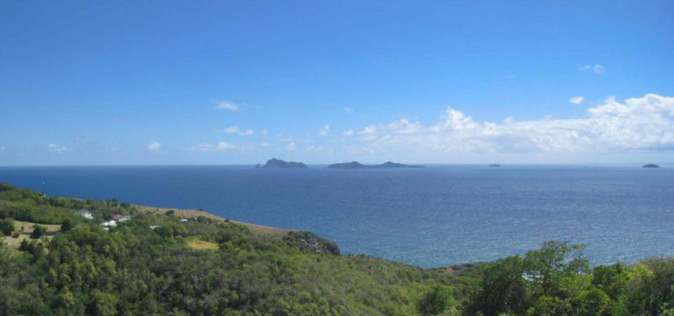 Friendship Heights Lot 8