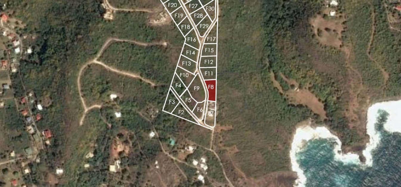 Friendship Heights Lot 8