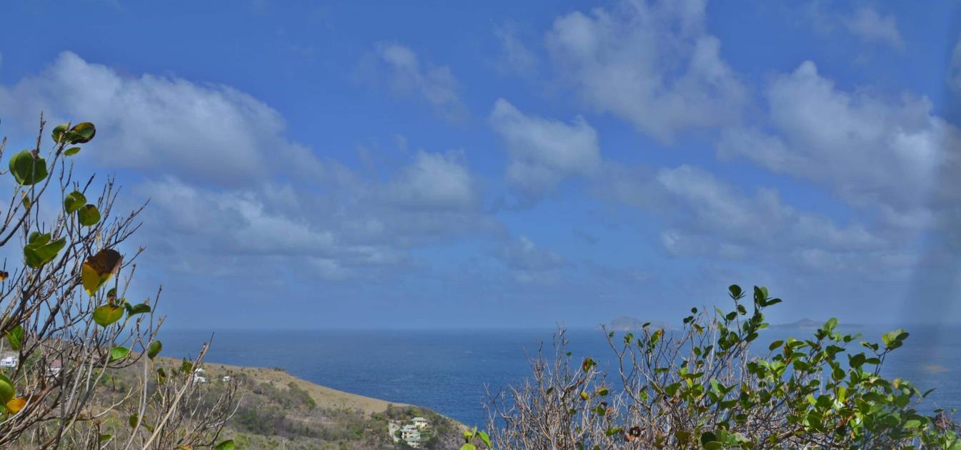 Friendship Heights Lot 8