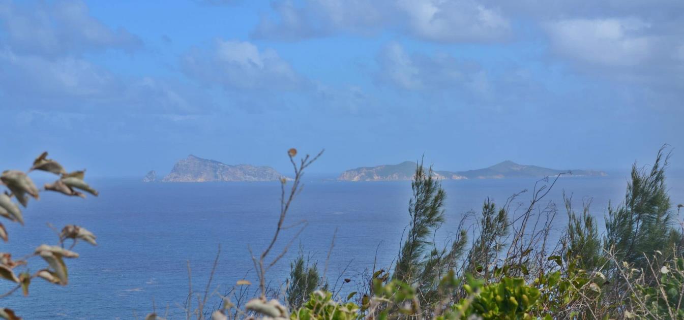 Friendship Heights Lot 8