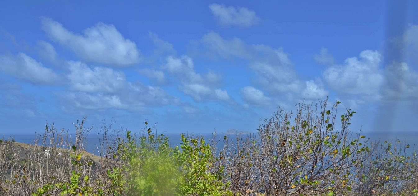 Friendship Heights Lot 8