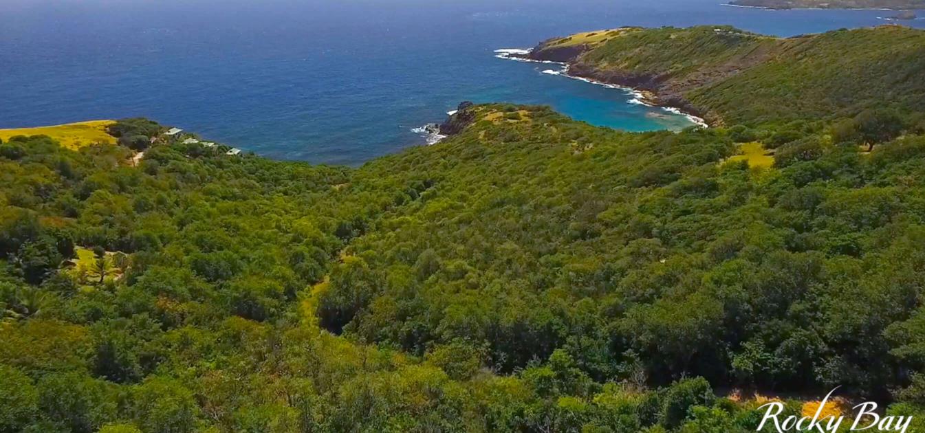 Rocky Bay Estate - Remaining Lots - $3-4.50USD sqft