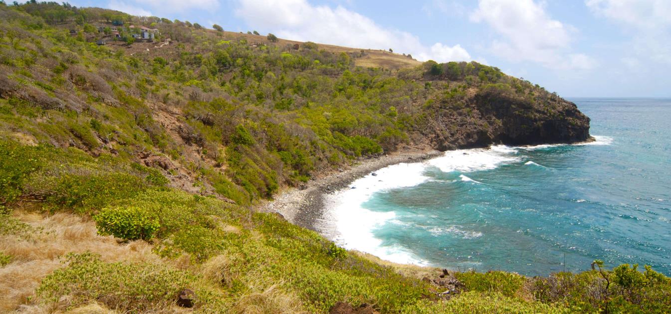 Rocky Bay Estate - Remaining Lots - $3-4.50USD sqft