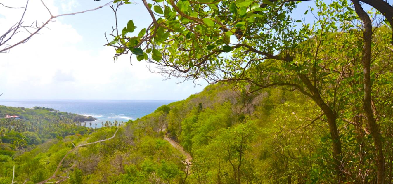 Crown Point Land Lot A18