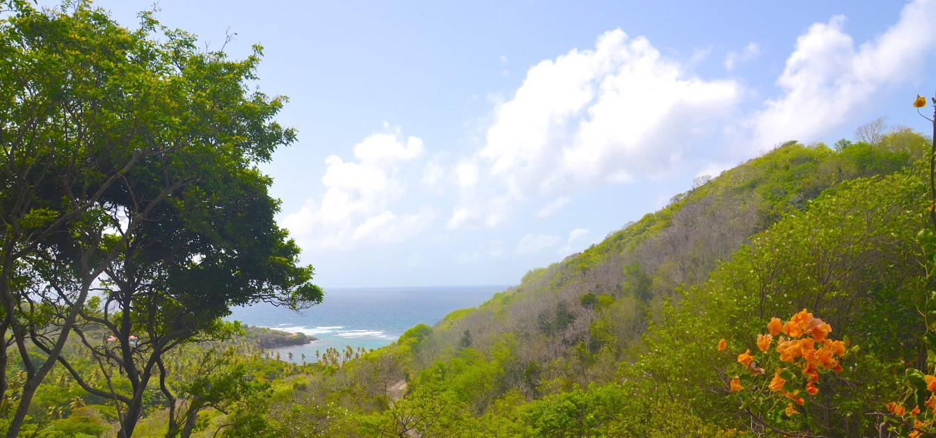 Crown Point Land Lot A18