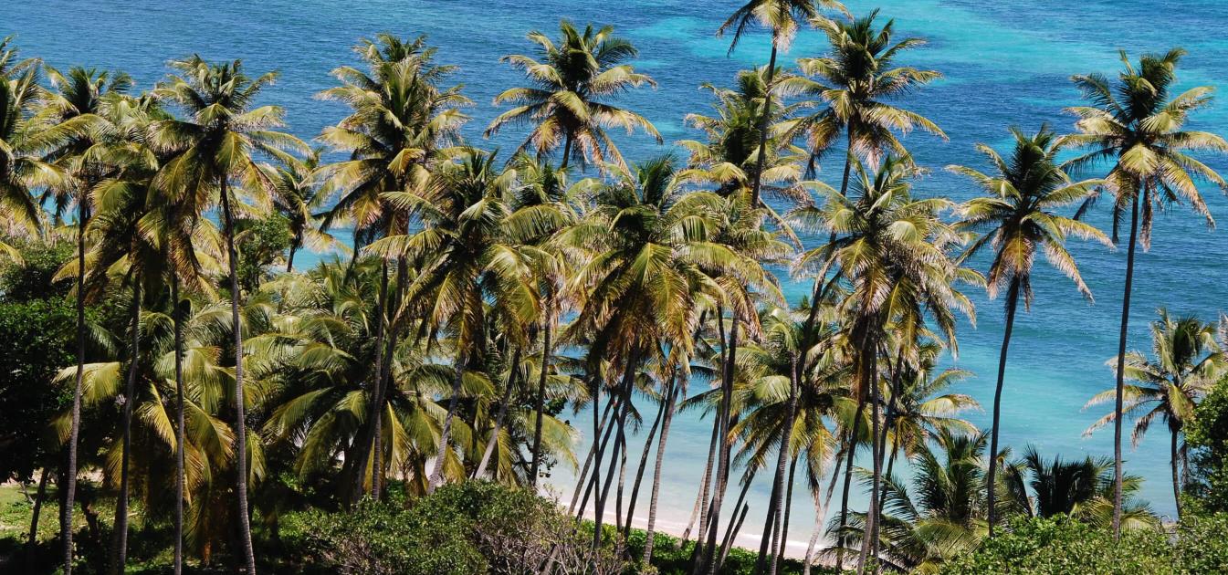 Crown Point Land Lot A18