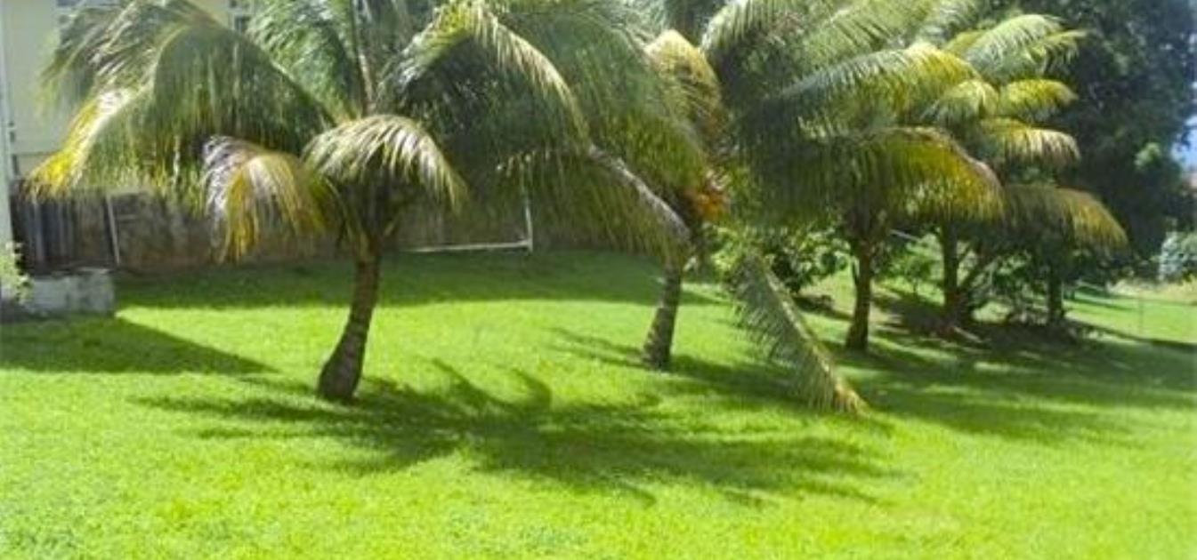 vacation-rentals/st-vincent-and-the-grenadines/st-vincent/kingstown/island-view-house