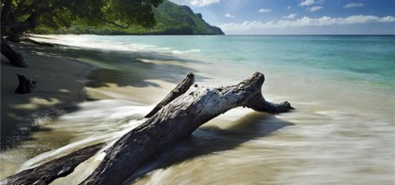 vacation-rentals/st-vincent-and-the-grenadines/bequia/hamilton/daffodils-boutique-bandb-waterfront-queen-room