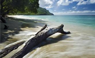 Daffodils Boutique B&B Waterfront Queen Room