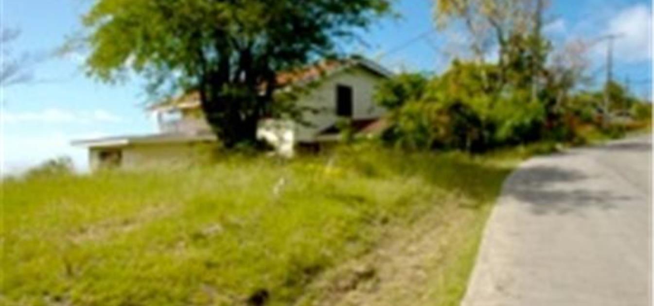 Cap Estate Young Land