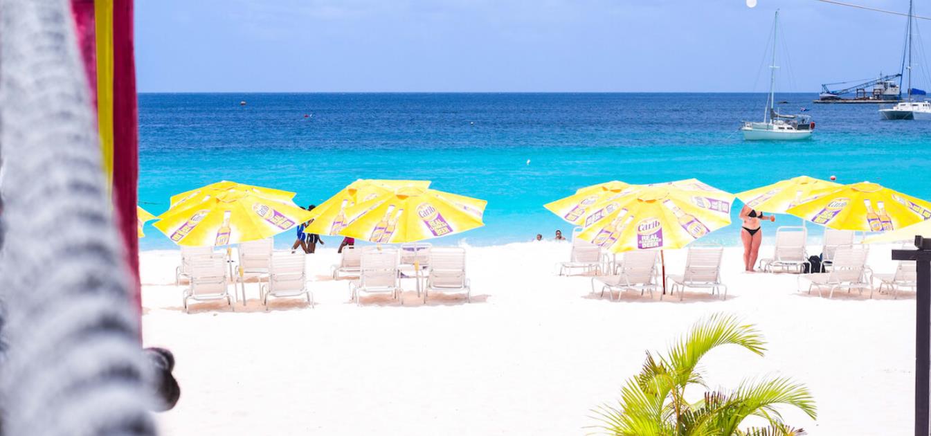 Barbados Properties