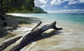 Daffodils Boutique B&B Garden View Room