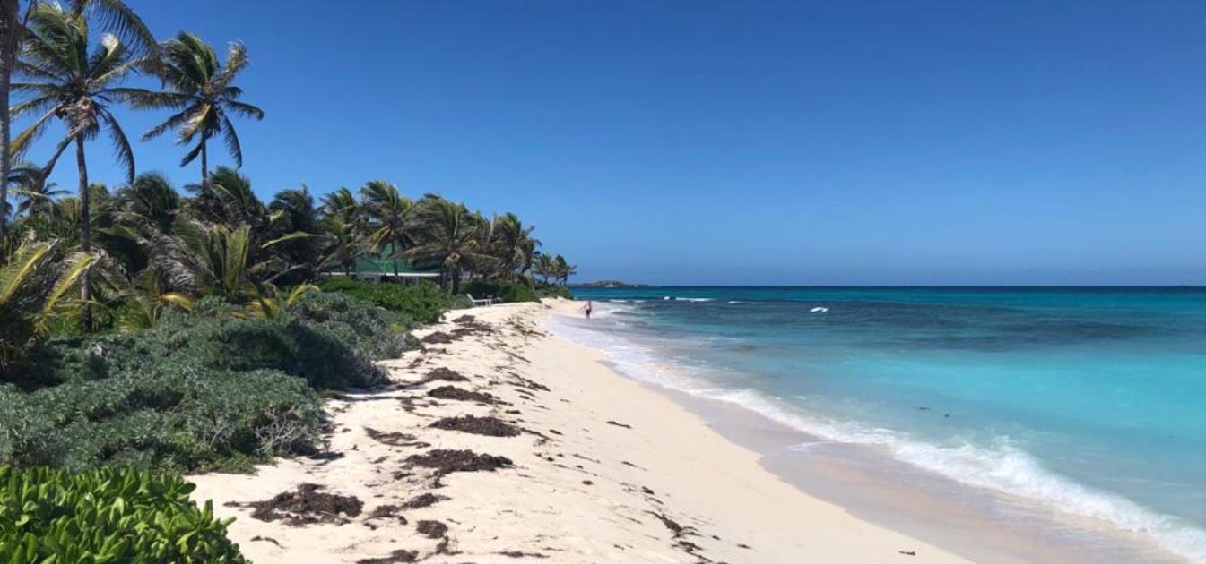 Palm Island Beachfront Land