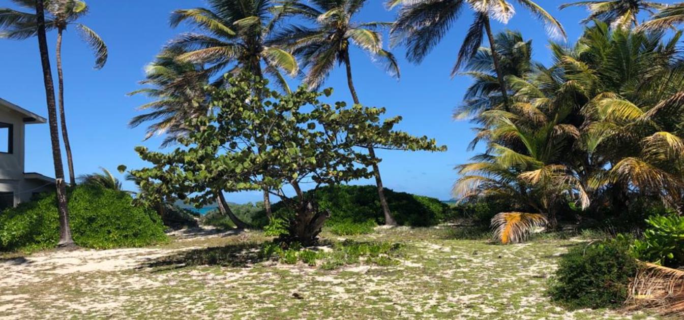 Palm Island Beachfront Land