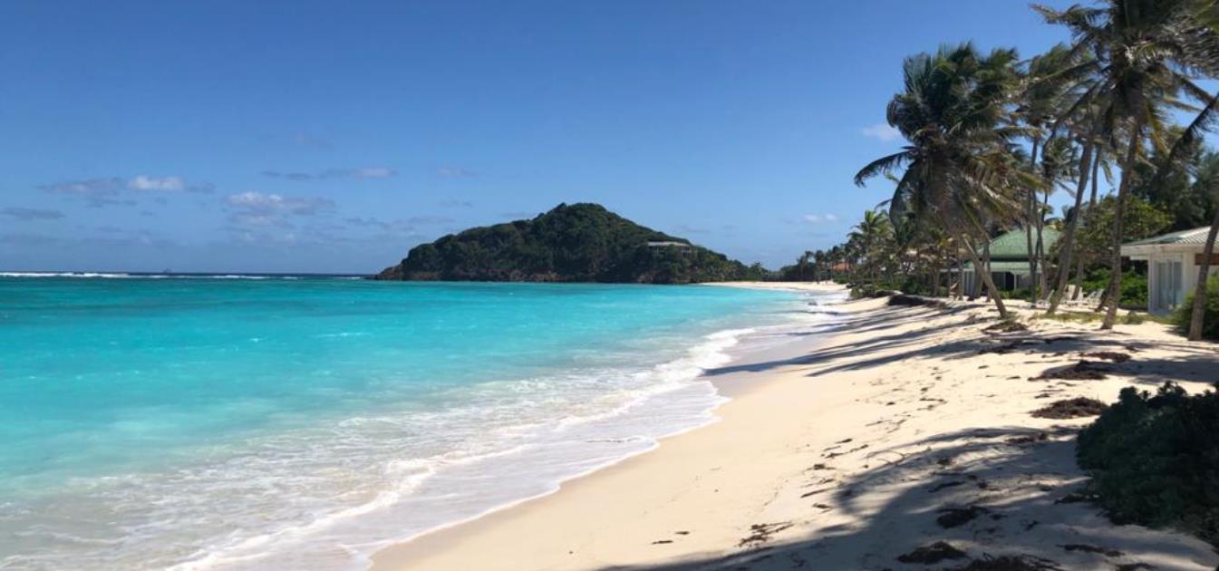 Palm Island Beachfront Land