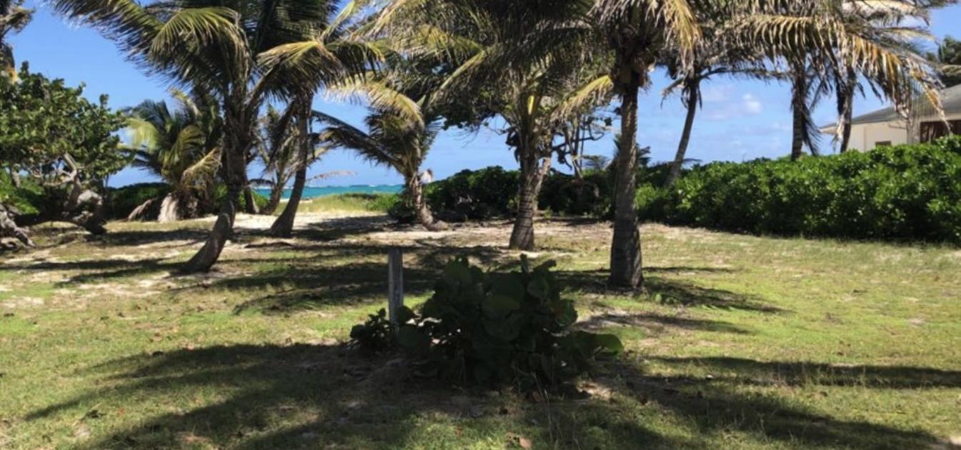 Palm Island Beachfront Land