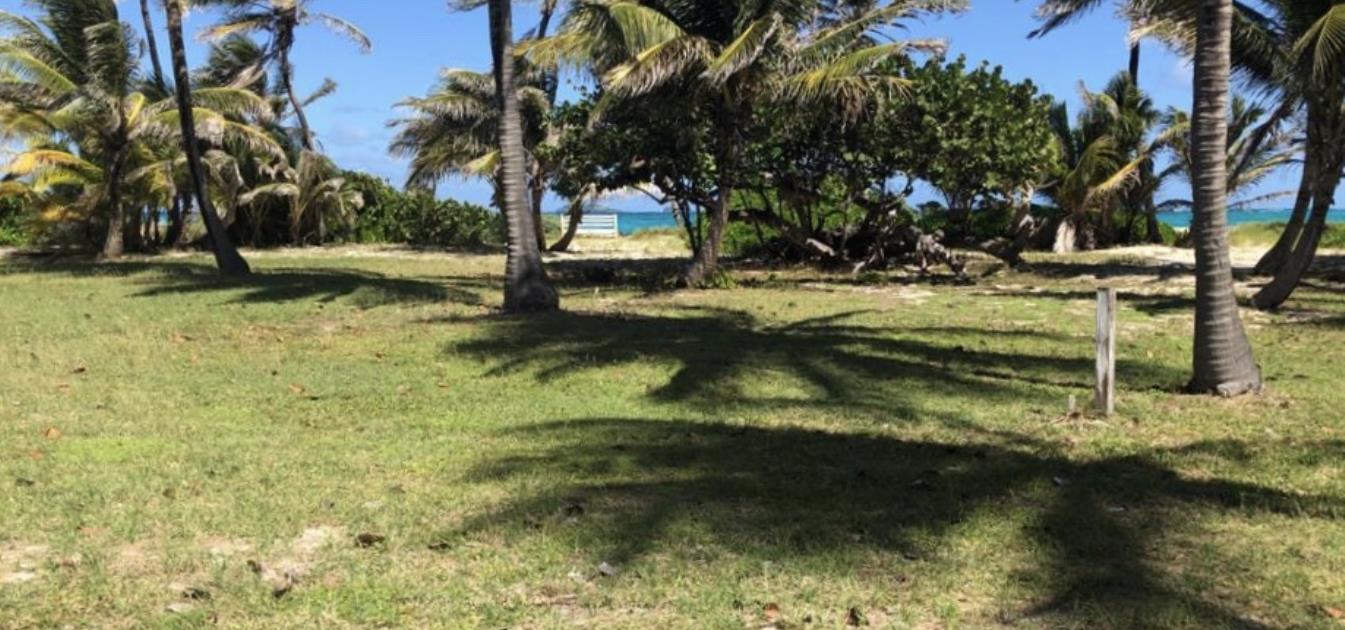 Palm Island Beachfront Land