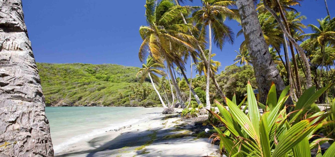 Firefly Beachfront Land Bequia